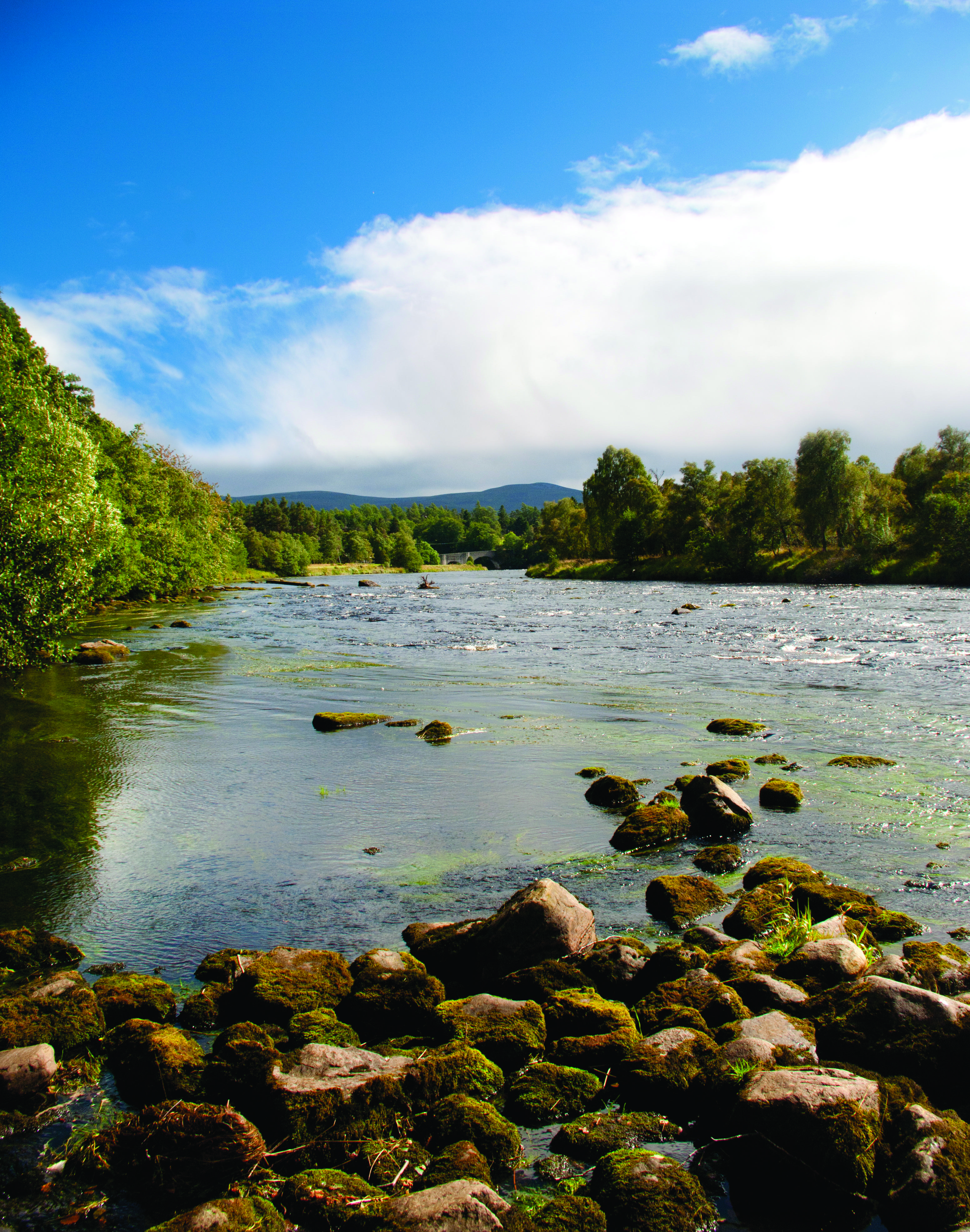 Craiglynne Grantown-on-Spey